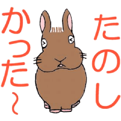 [LINEスタンプ] ネザーランド・ドワーフのラーちゃん