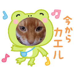 [LINEスタンプ] chirodale