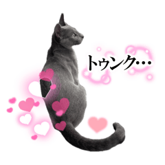 [LINEスタンプ] ロシアンブルー好き