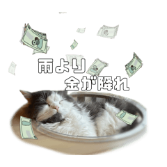 [LINEスタンプ] むーちゃんの日常（梅雨）