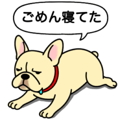 [LINEスタンプ] フレンチブルドッグ(クリーム)