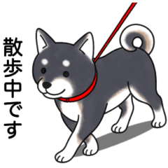 [LINEスタンプ] 柴犬(黒色)