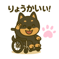 [LINEスタンプ] 柴犬さん(車椅子バージョン)