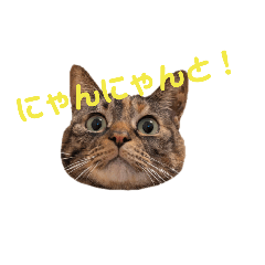 [LINEスタンプ] catchocolate-maron