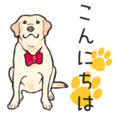 [LINEスタンプ] ラブラドール ちろん君の日常スタンプ