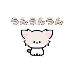 [LINEスタンプ] 動く！ミニチワワ