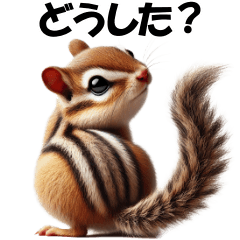 [LINEスタンプ] シマリスちゃん☆の良く使う会話スタンプ