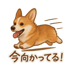 [LINEスタンプ] コーギー・コーギー