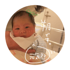 [LINEスタンプ] 朔スタンプ (良く使えそう編)
