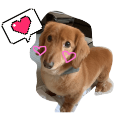 [LINEスタンプ] ロンぴのスタンプ2