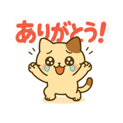 [LINEスタンプ] ミニにゃんの日常で使えるスタたち