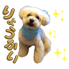 [LINEスタンプ] ぺねってぃの相棒まめ