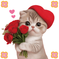 [LINEスタンプ] スコティッシュ猫 感謝と思いやり 母の日