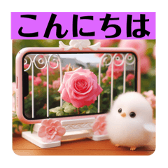 [LINEスタンプ] [大きな文字のスタンプ]☆薔薇