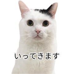 [LINEスタンプ] まつもとたける2（セリフ付き）