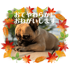 [LINEスタンプ] ぱる3