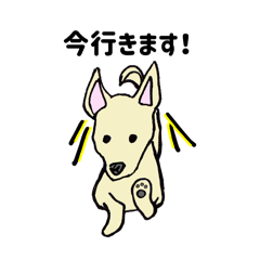 [LINEスタンプ] 集まれAWESOMEなわんこ達①