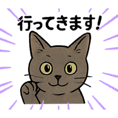 [LINEスタンプ] 兄妹猫ぎん＆ひめニャンのあいさつスタンプ