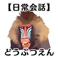 [LINEスタンプ] 【日常会話】どうぶつえん