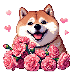 [LINEスタンプ] 母の日 父の日 記念日の太っちょ柴犬