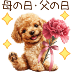 [LINEスタンプ] 母の日・父の日☆動くトイプードル
