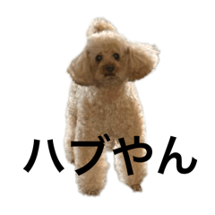 [LINEスタンプ] ももちゃんスタンプ 4弾
