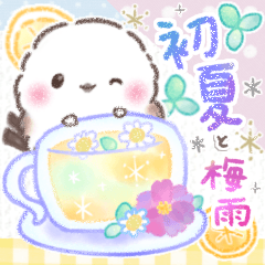 [LINEスタンプ] 初夏.梅雨❤️ふわもちシマエナガ16❤️