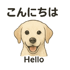 [LINEスタンプ] 白ラブと学ぶ！英語×日本語スタンプ