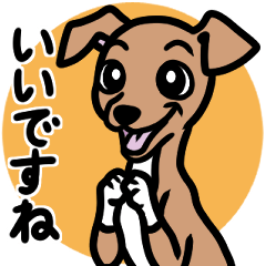 [LINEスタンプ] 【レッド4】1年中使える♡パピーイタグレ
