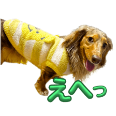 [LINEスタンプ] ぼく、りゅうちゃん（メッセージあり）！！