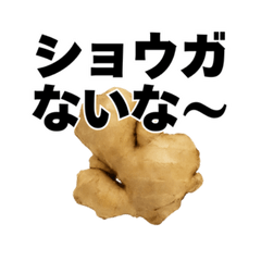 [LINEスタンプ] 生姜の日常スタンプ