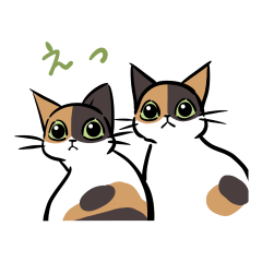 [LINEスタンプ] 猫のあおいさん（三毛猫 Ver.）