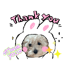 [LINEスタンプ] 犬のcuteなスタンプ