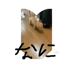 [LINEスタンプ] 僕の1日ルーチーティーン