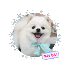 [LINEスタンプ] こむぎさん⑸
