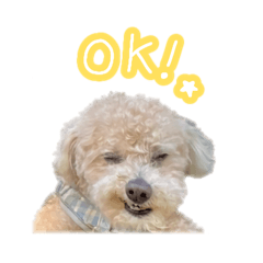 [LINEスタンプ] ラブがいっぱい（使いやすいよ）の画像（メイン）