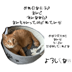 [LINEスタンプ] ぼくあんこ？