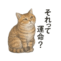 [LINEスタンプ] しれっというねこ