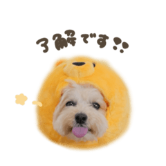 [LINEスタンプ] まろ8