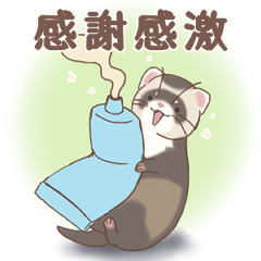 [LINEスタンプ] みんなのゆるっとフェレットスタンプ