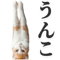 [LINEスタンプ] うんこ猫