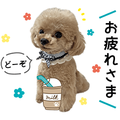 [LINEスタンプ] るなアニマルズ！