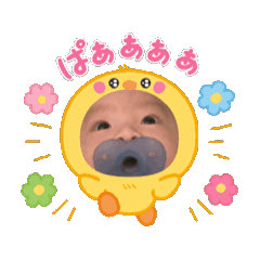 [LINEスタンプ] 動くさくっちスタンプ