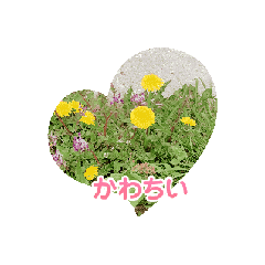[LINEスタンプ] かわいい花のスタンプ