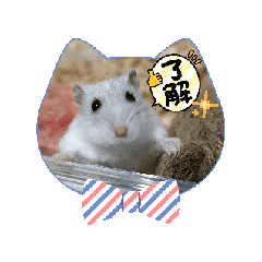 [LINEスタンプ] ぴーちゃんスタンプ 2