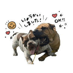 [LINEスタンプ] ロジャー＆パブロ