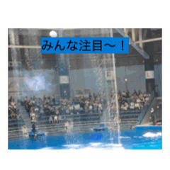 [LINEスタンプ] あにまるるの1日