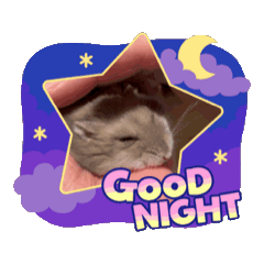 [LINEスタンプ] 我が家のハムハムのんちゃん