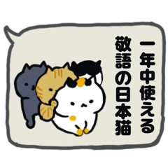 [LINEスタンプ] 年中使い敬語吹き出し日本猫