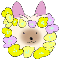 [LINEスタンプ] ヨークシャーテリアのスタンプ。